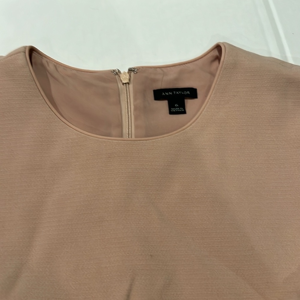 Ann Taylor Wedding Guest Sleeveless Crewneck Elegant Dress Nude Pink siz… - Picture 3 of 3